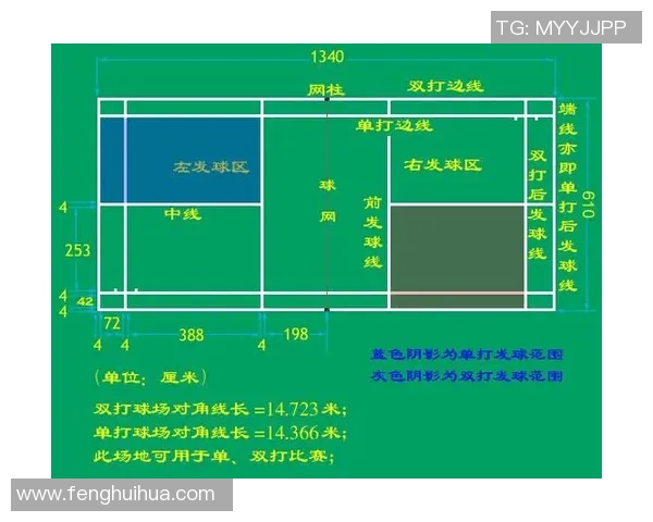 羽毛球赛事裁判规则更新及影响评估